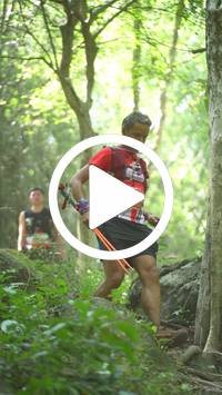 BIB:  <button type="button" onclick="openModal(27937944)" class="btn btn-primary btn-sm float-right" data-toggle="modal" data-target=".modal-high-quality">
                <i class="fa fa-download"></i> Download
                </button>